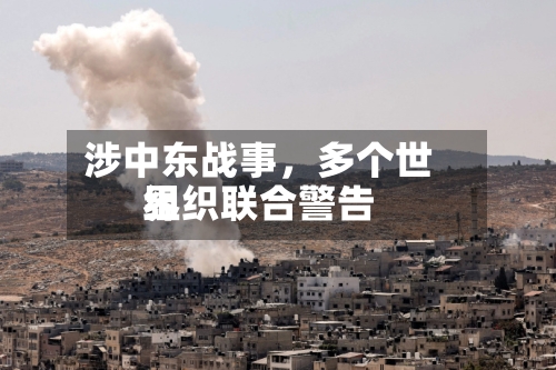 涉中东战事，多个世界组织联合警告