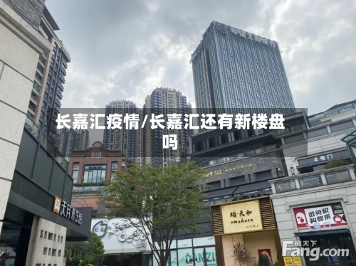长嘉汇疫情/长嘉汇还有新楼盘吗