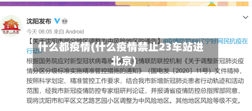 什么都疫情(什么疫情禁止23车站进北京)
