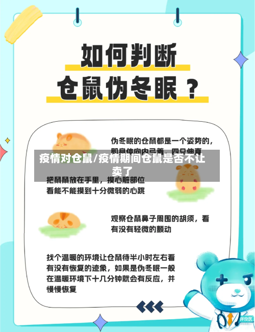 疫情对仓鼠/疫情期间仓鼠是否不让卖了