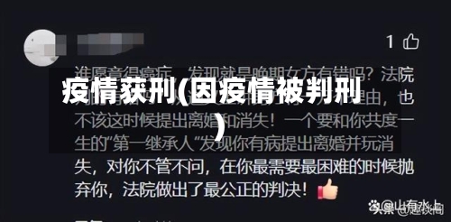 疫情获刑(因疫情被判刑)