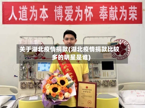 关于湖北疫情捐款(湖北疫情捐款比较多的明星是谁)