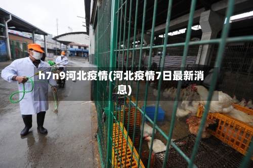 h7n9河北疫情(河北疫情7日最新消息)