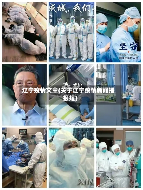 辽宁疫情文章(关于辽宁疫情新闻播报短)