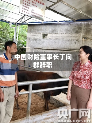中国财险董事长丁向群辞职