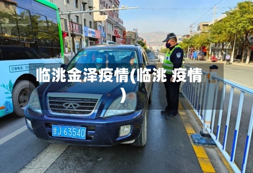 临洮金泽疫情(临洮 疫情)