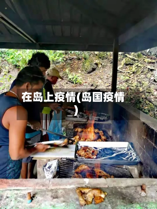 在岛上疫情(岛国疫情)