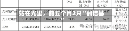 站在光里，前五个月2只“翻倍基”