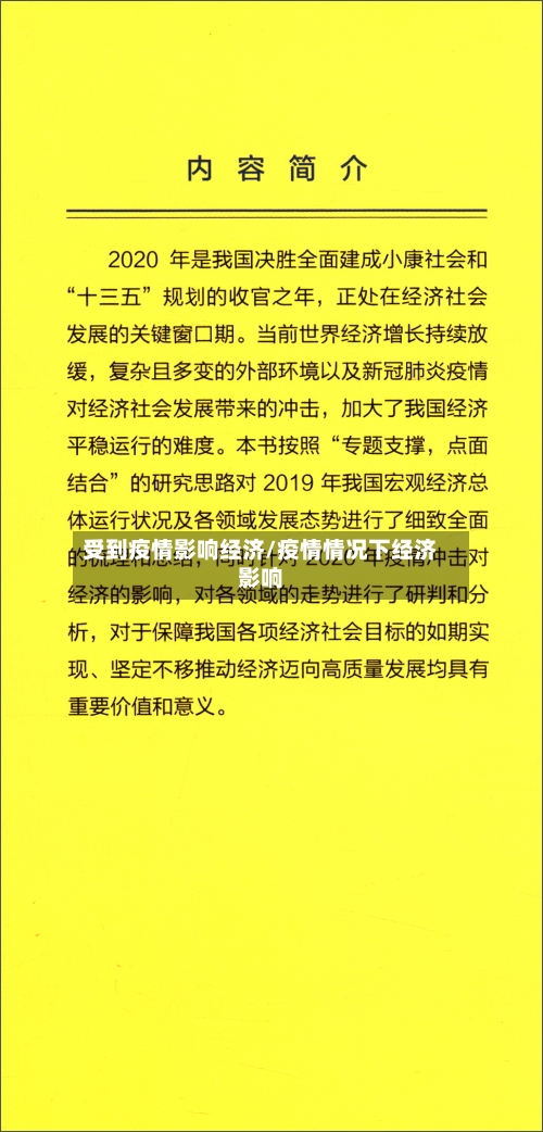 受到疫情影响经济/疫情情况下经济影响