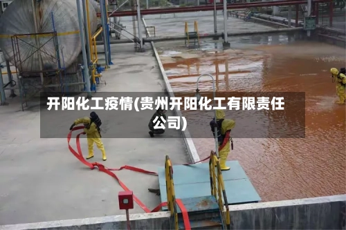 开阳化工疫情(贵州开阳化工有限责任公司)