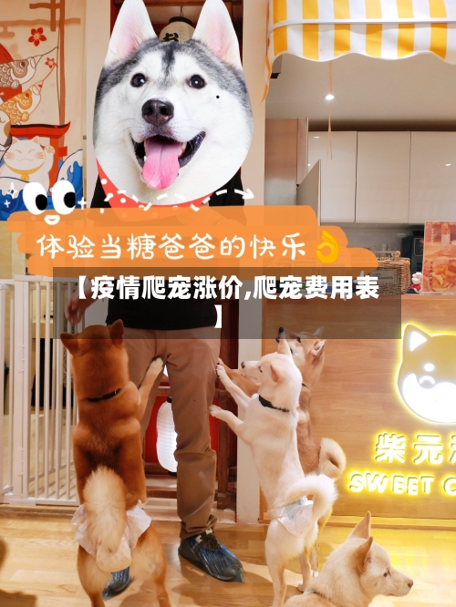 【疫情爬宠涨价,爬宠费用表】