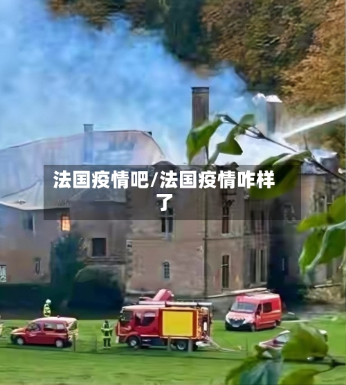 法国疫情吧/法国疫情咋样了