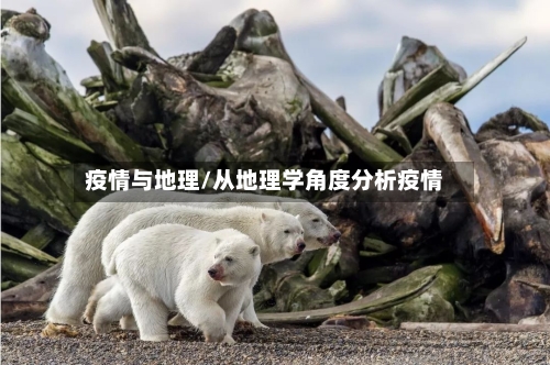 疫情与地理/从地理学角度分析疫情
