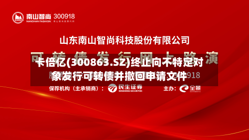 卡倍亿(300863.SZ)终止向不特定对象发行可转债并撤回申请文件