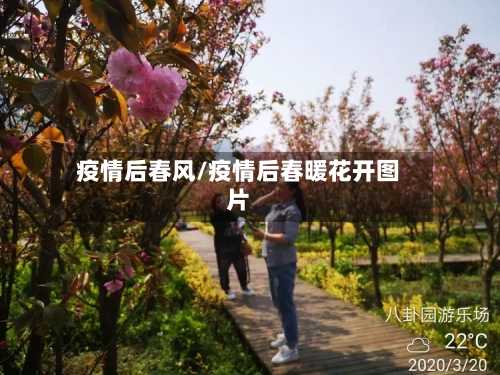 疫情后春风/疫情后春暖花开图片