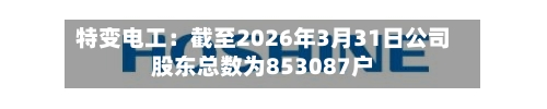 特变电工：截至2026年3月31日公司股东总数为853087户