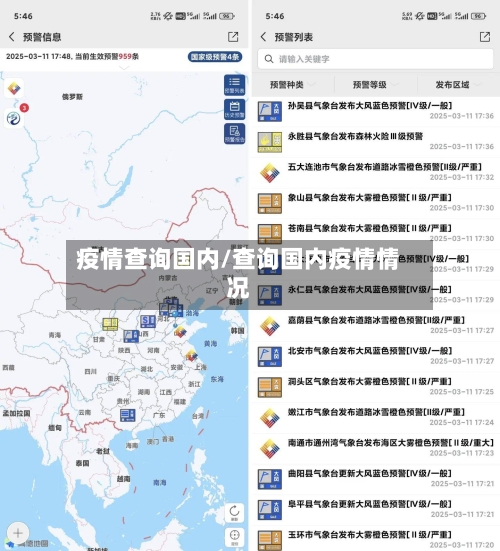 疫情查询国内/查询国内疫情情况