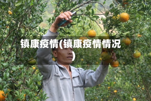 镇康疫情(镇康疫情情况)