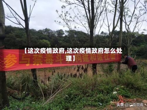 【这次疫情政府,这次疫情政府怎么处理】