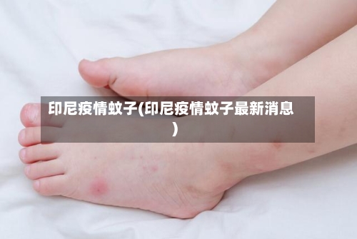 印尼疫情蚊子(印尼疫情蚊子最新消息)
