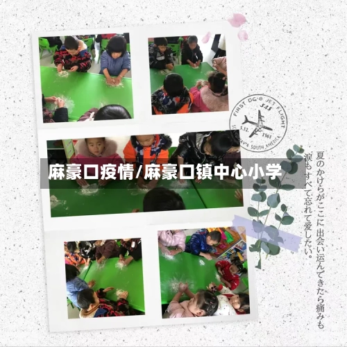 麻豪口疫情/麻豪口镇中心小学