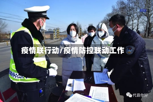 疫情联行动/疫情防控联动工作