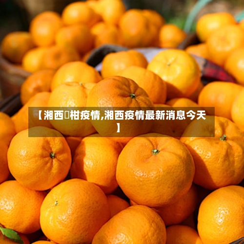 【湘西椪柑疫情,湘西疫情最新消息今天】