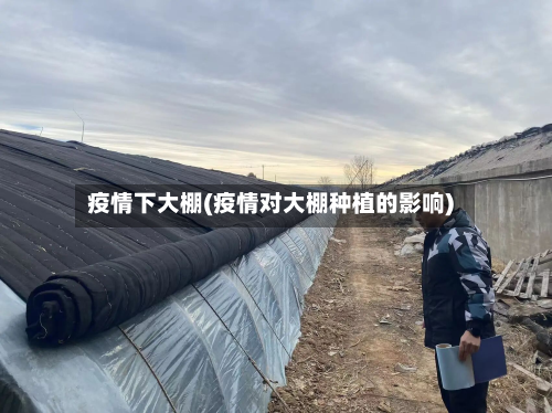 疫情下大棚(疫情对大棚种植的影响)