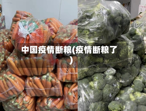 中国疫情断粮(疫情断粮了)