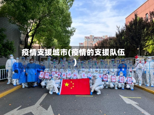 疫情支援城市(疫情的支援队伍)