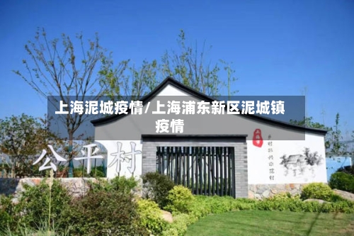 上海泥城疫情/上海浦东新区泥城镇疫情