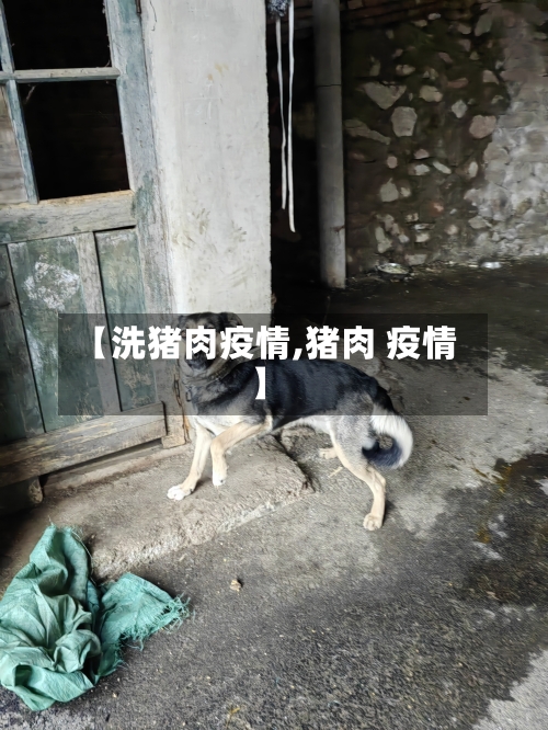 【洗猪肉疫情,猪肉 疫情】