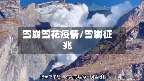 雪崩雪花疫情/雪崩征兆
