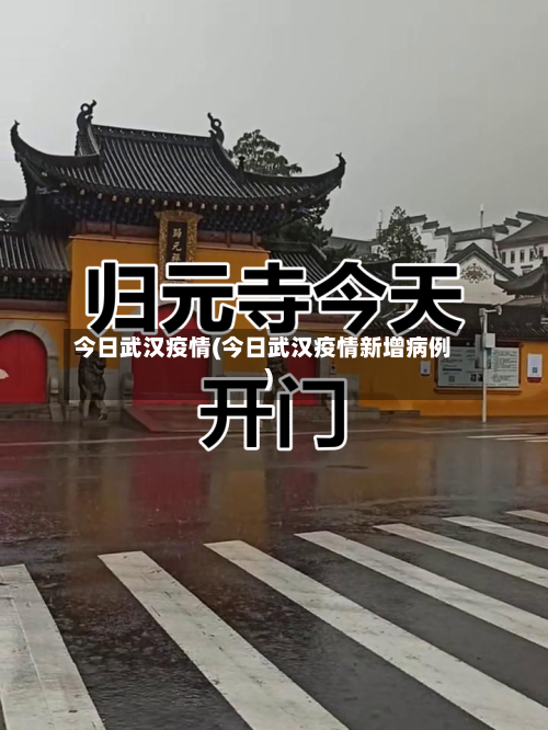 今日武汉疫情(今日武汉疫情新增病例)