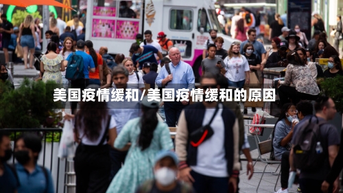 美国疫情缓和/美国疫情缓和的原因