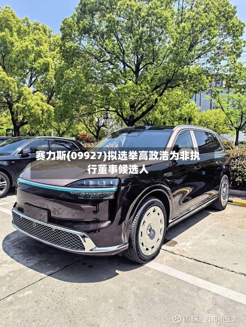 赛力斯(09927)拟选举高政浩为非执行董事候选人