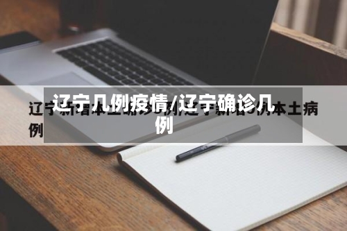 辽宁几例疫情/辽宁确诊几例