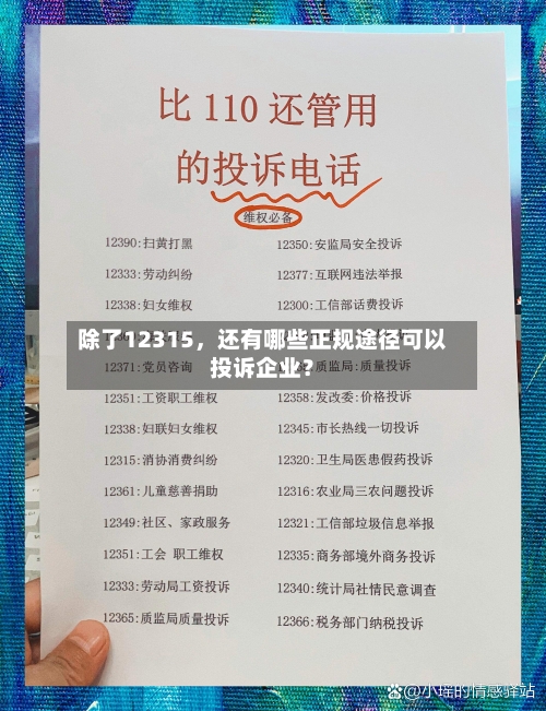 除了12315，还有哪些正规途径可以投诉企业？