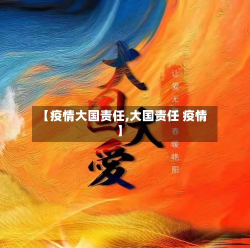 【疫情大国责任,大国责任 疫情】