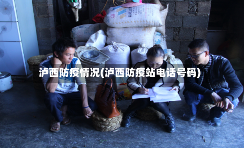 泸西防疫情况(泸西防疫站电话号码)