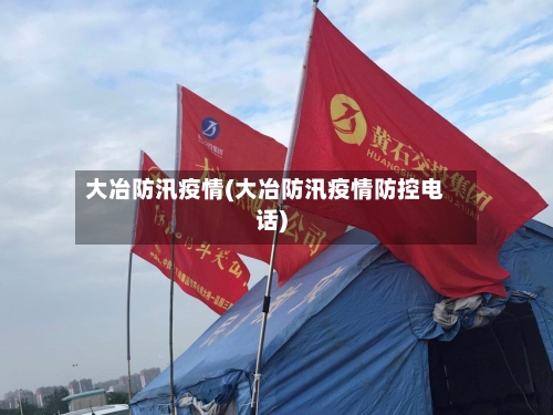 大冶防汛疫情(大冶防汛疫情防控电话)