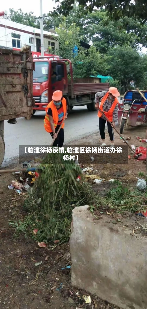 【临潼徐杨疫情,临潼区徐杨街道办徐杨村】