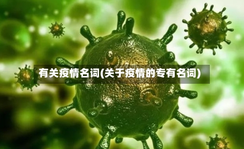 有关疫情名词(关于疫情的专有名词)