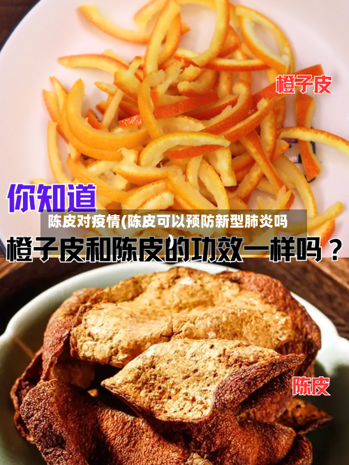 陈皮对疫情(陈皮可以预防新型肺炎吗)
