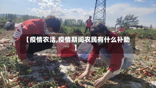 【疫情农活,疫情期间农民有什么补助】