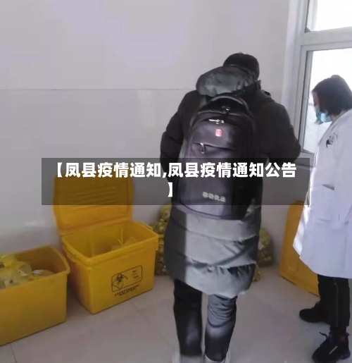 【凤县疫情通知,凤县疫情通知公告】