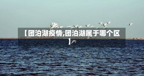 【团泊湖疫情,团泊湖属于哪个区】