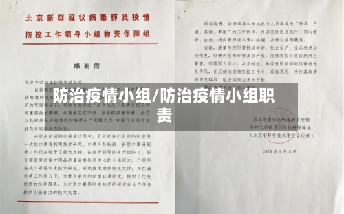 防治疫情小组/防治疫情小组职责