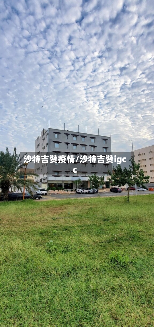 沙特吉赞疫情/沙特吉赞igcc
