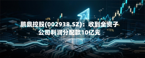 鹏鼎控股(002938.SZ)：收到全资子公司利润分配款10亿元